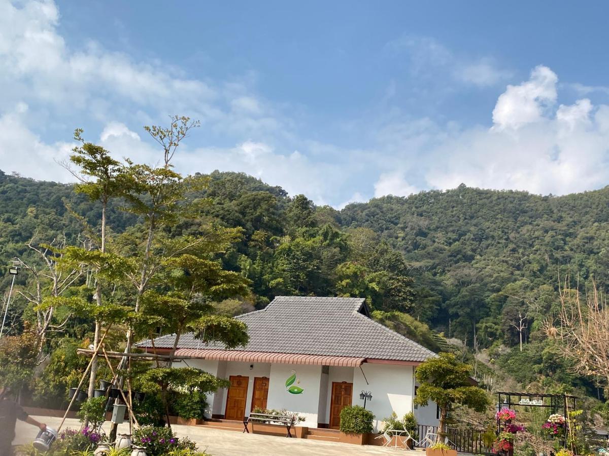 צ'יאנג ריי Thai Tea Garden Home מראה חיצוני תמונה